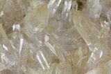 Quartz Crystal Cluster - Brazil #81009-3